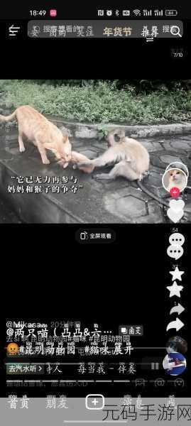 抖音玩梗高手,小美勇闯猴园,惊险逃生秘籍