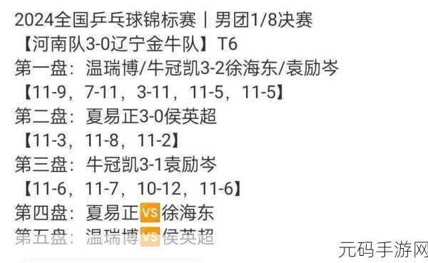 黄石乒乓球全锦赛:黄石乒乓球全锦赛:聚焦精英对决与未来之星的崛起
