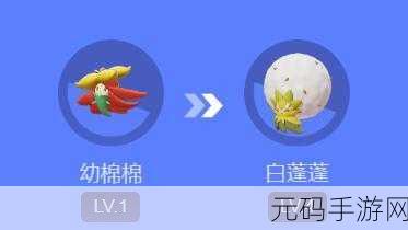 宝可梦大集结,白蓬蓬宝可梦全解析与实战攻略