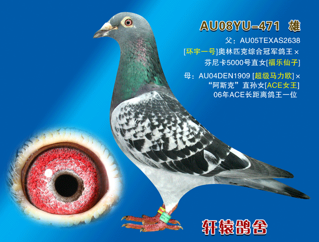 日欧精品卡2卡3卡4卡:1. 日欧精品卡:探索独特文化与风味之旅