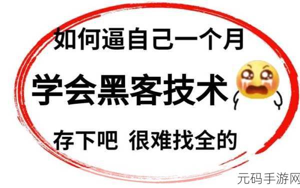 不良网站暗网下载软件:1. 探秘暗网:如何安全下载不良软件