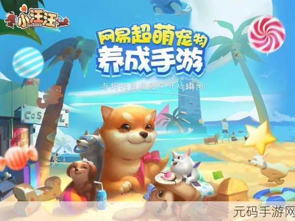 美国Zoom动物手游新版本温馨上线，宠物养成新体验等你来探索