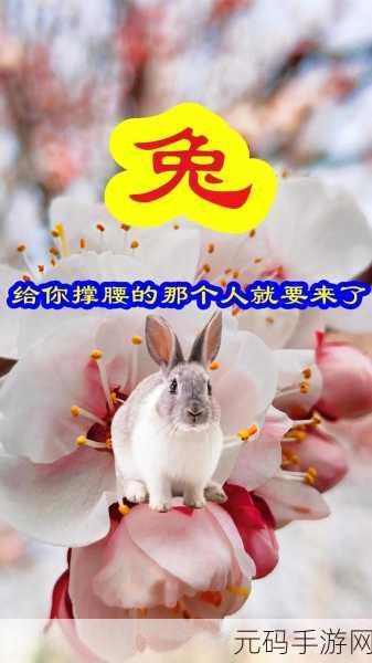 老师前面的两个兔子抖来抖去:1. 《兔子舞蹈:春日里的欢快旋律