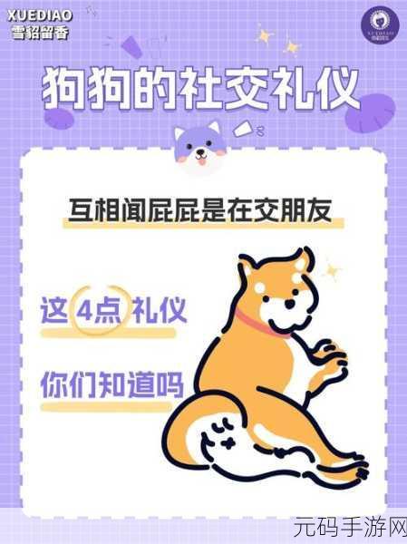 白屁股福利:当然可以,以下是一些基于“白屁股福利”拓展出的标题建议: