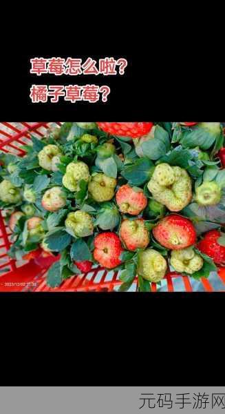 草莓无限APP:1. 草莓无限APP:开启你的健康生活新篇章