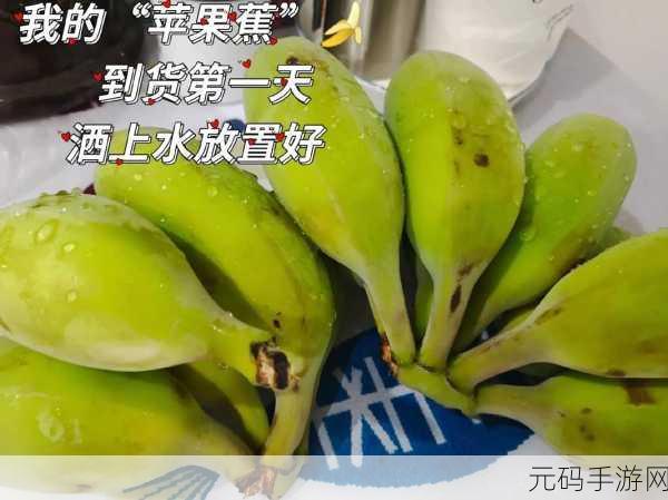 香蕉视频在哪里可以看:1. 香蕉视频观看指南:如何找到最佳资源