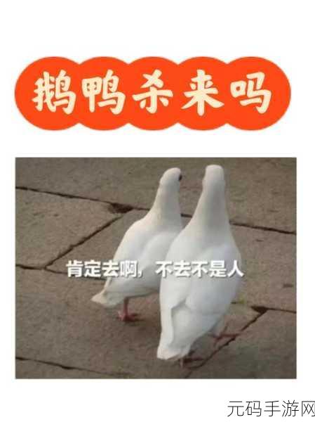 鹅鸭杀手游，冒险推理新热潮，版本更新与活动预告来袭
