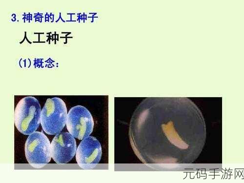 种子搜索:当然可以!请提供一个种子标题,我将根据这个标题拓展出新的主题。