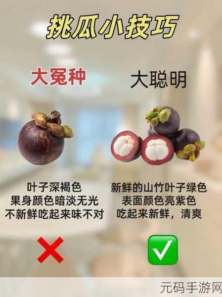 155.fun吃瓜:1. 吃瓜观众的奇妙日常:生活中的酸甜苦辣