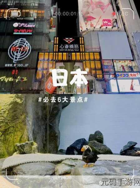 日本高清视频线和日本高清：1. 日本高清视频线的魅力与应用全解析