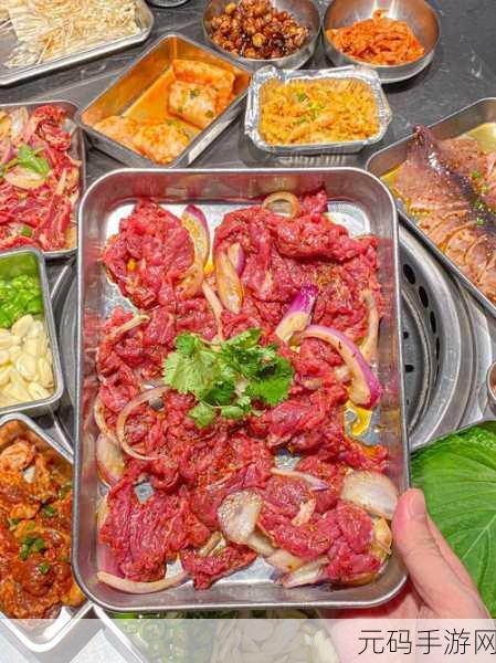 烤肉模拟器新游发布,休闲时光的最佳伴侣,趣味烤肉等你来体验