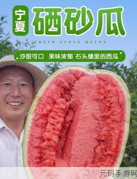 51每日必吃大瓜热门top1:当然可以!以下是一些基于“51每日必吃大瓜热门top1”的扩展