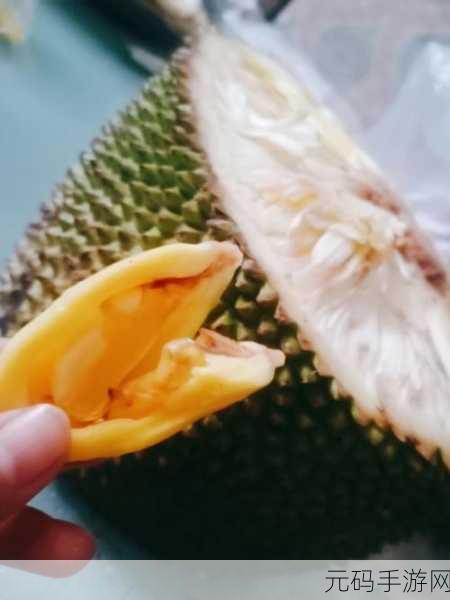 菠萝菠萝蜜在线观看免费：1. 《菠萝菠萝蜜：奇幻冒险的热带之旅