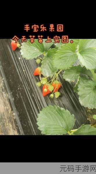 下载草莓视频:1. 《草莓视频:探索精彩短视频的新天地