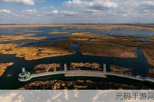 大庆日大巧:1. 大庆日的深远意义与文化传承