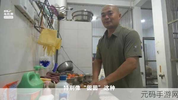 黑料网 独家爆料 曝光揭秘:1. 黑料网独家爆料:揭秘背后的真相与故事