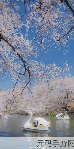 漾出oⅴerflower樱花:1. 漾出oⅴerflower樱花:绽放春日的浪漫之旅