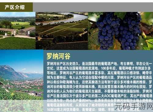 98精产国品一二三产区:1. 98精产国品一二三产区的全新发展探索