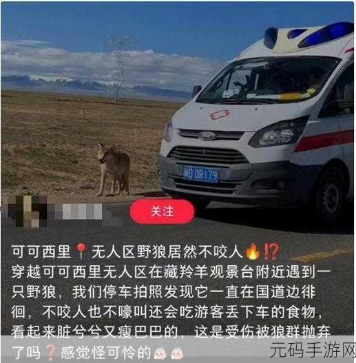 卡一卡二卡三二百老狼信息网:1. 卡一卡二卡三:探索网络世界的奇妙旅程