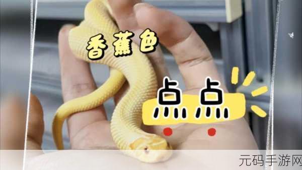 香蕉视频免费看：当然可以！以下是一些关于“香蕉视频免费看”的新标题建议，每个都不少于10个字：