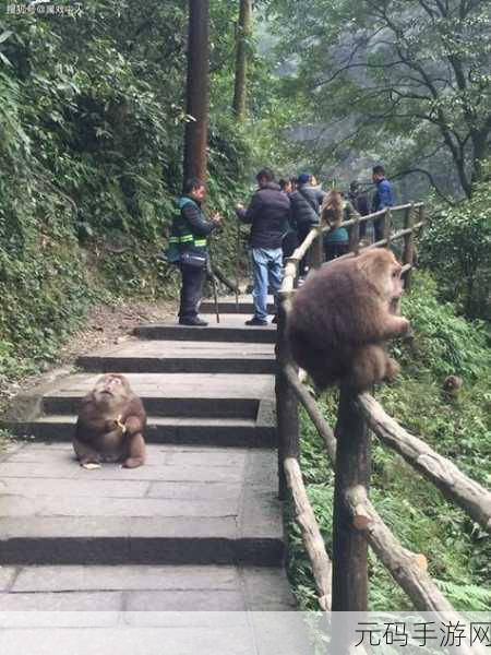 二人生猴子全程不盖被子图片大全:1. 二人生猴子:无被子的温暖瞬间