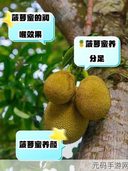 菠萝蜜在线:1. 菠萝蜜的营养价值与健康益处揭秘