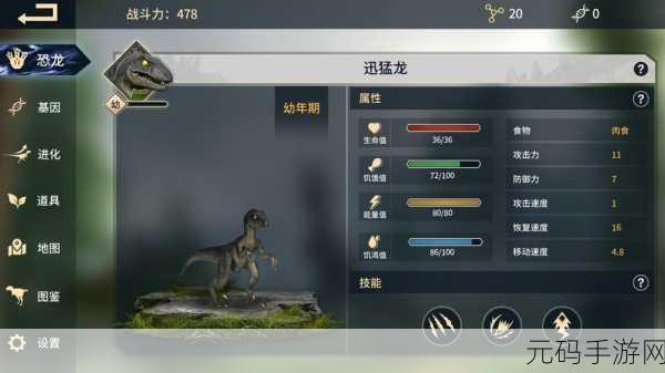 造个恐龙岛手游新版本震撼发布,打造你的专属恐龙王国