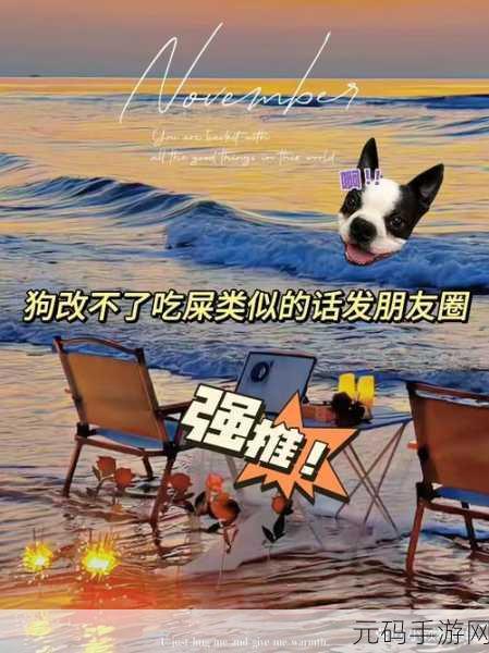搞time恶心:当然可以,以下是一些基于“搞time恶心”的新标题建议: