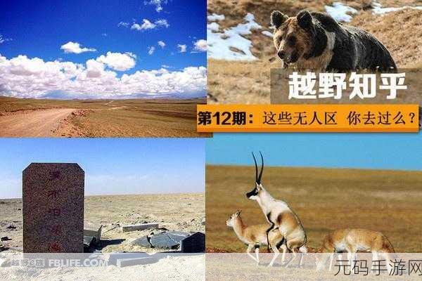 免费无人区一码二码乱码:1. 探索免费无人区的神秘与未知