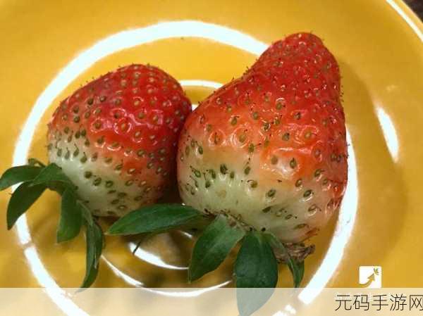 草莓app无码在线:当然可以!以下是一些关于草莓app的创意