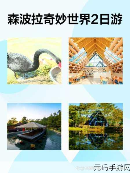 猫咪度假岛全新版本盛大发布，打造你的梦幻萌宠乐园