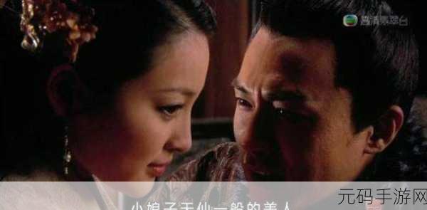 金莲 国产精品:1. 金莲背后的故事:文化与历史的交织
