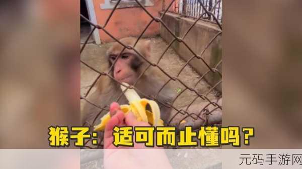 香蕉视频APP一区二区:1. 香蕉视频:畅享高清影视,随时随地看不停!