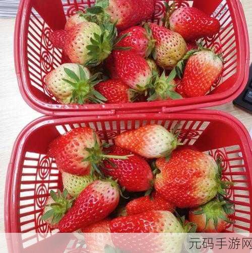 永久免费草莓视频入口破解版:1. 免费享受无限乐趣:草莓视频入口破解版探秘
