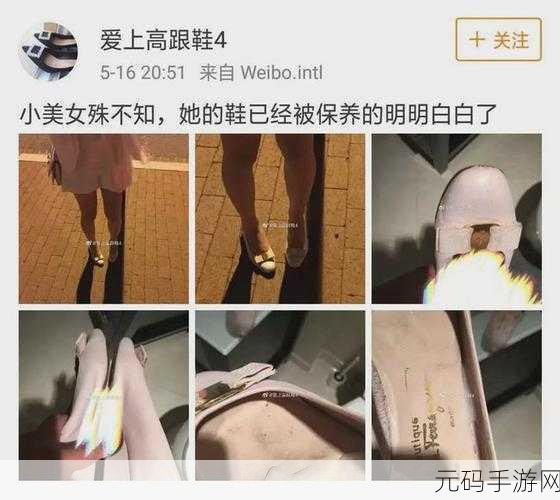 黑网曝光:1. 黑网揭秘:隐藏在暗处的真实故事