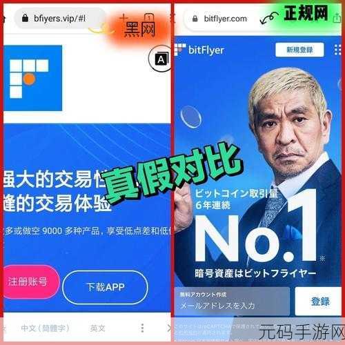 黑网曝光:1. 黑网揭秘:隐藏在暗处的真实故事