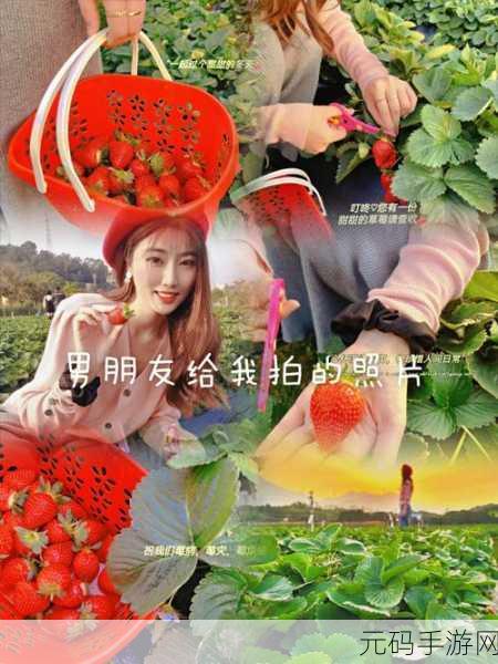 草莓视频的视频:当然可以!以下是一些基于草莓视频内容的扩展标题建议: