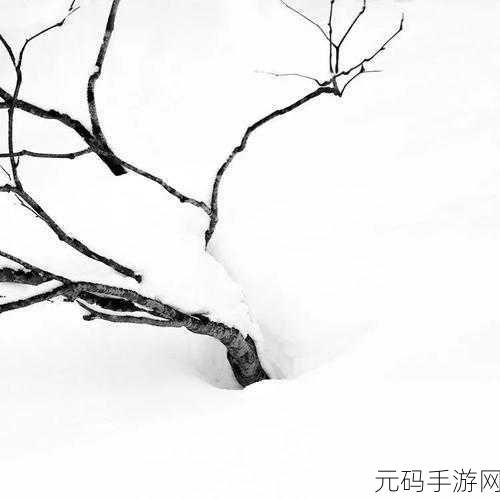 精品l区2区3区:当然可以!以下是一些基于“精品L区2区3区”主题拓展出的新标题,字数均不少于10个字: