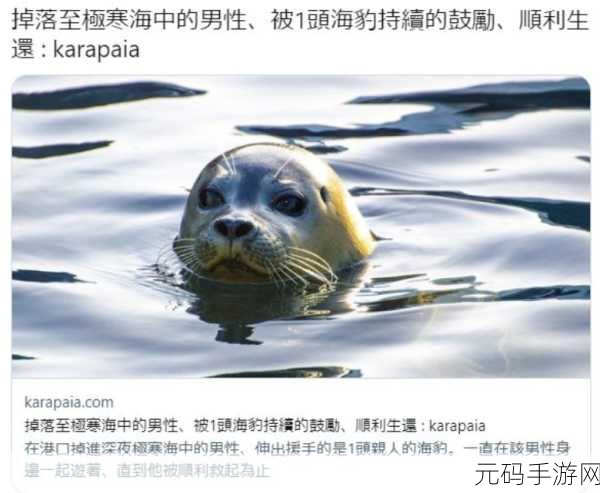 冰冷的肉:1. 冰冷的肉:探寻极寒下的美食奥秘
