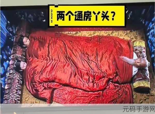 几个老爷弄一个丫头:1. 几位老爷的争宠之计与丫头的聪明反击