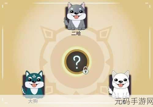 猫咪工坊安卓版全新版本更新,萌宠经营乐趣再升级