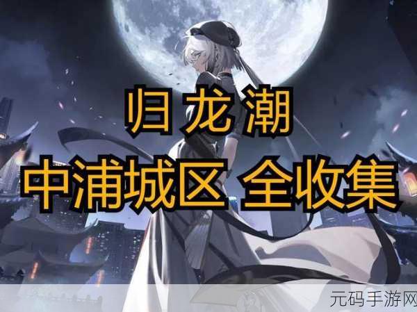 探秘归龙潮，浦城区书籍藏匿之处大揭秘