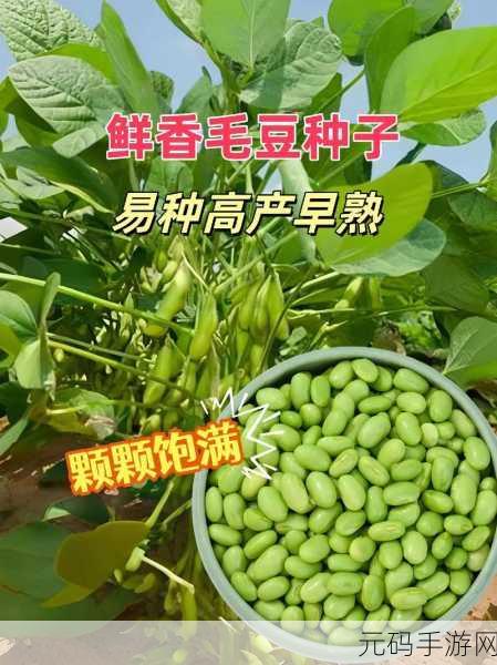 毛豆免费卡密:1. 免费获取毛豆卡密,畅享无限乐趣
