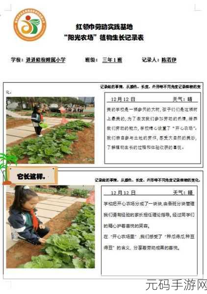 耕种妈妈肥沃的土地莫乱广:1. 耕种妈妈:呵护每一寸肥沃土地的守护者