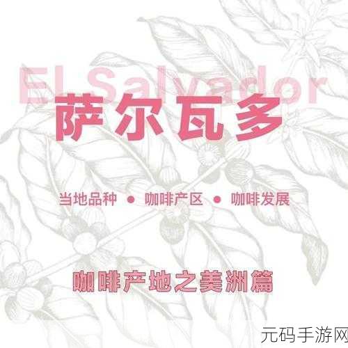 97精产国品一二三产区区别小说：1. 《三产区的秘密：探索97精产国品背后的故事