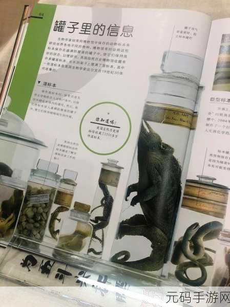 97精产国品一二三产区区别小说：1. 《三产区的秘密：探索97精产国品背后的故事