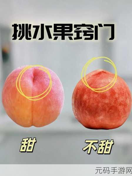 坤坤插进别人的桃子里:1. 坤坤的桃子探险:意外之旅