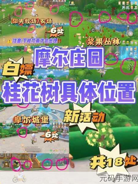 摩尔庄园,时尚涂料任务通关秘籍