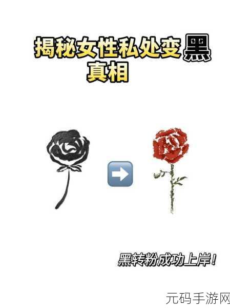 51黑料:1. 深入解析51黑料背后的真相和影响