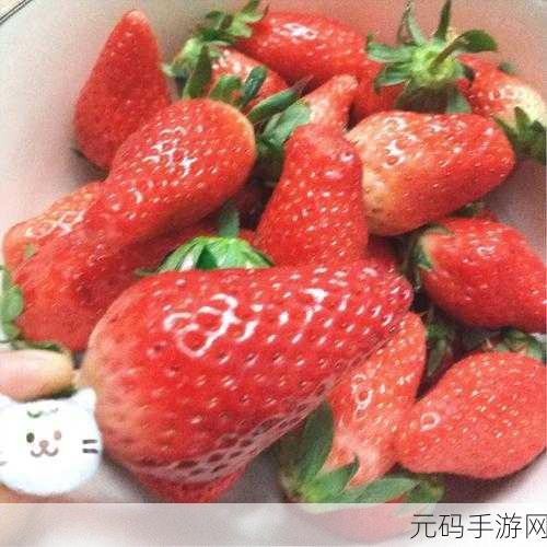 小草莓视频：1. 小草莓视频：探索夏日水果的美味秘诀